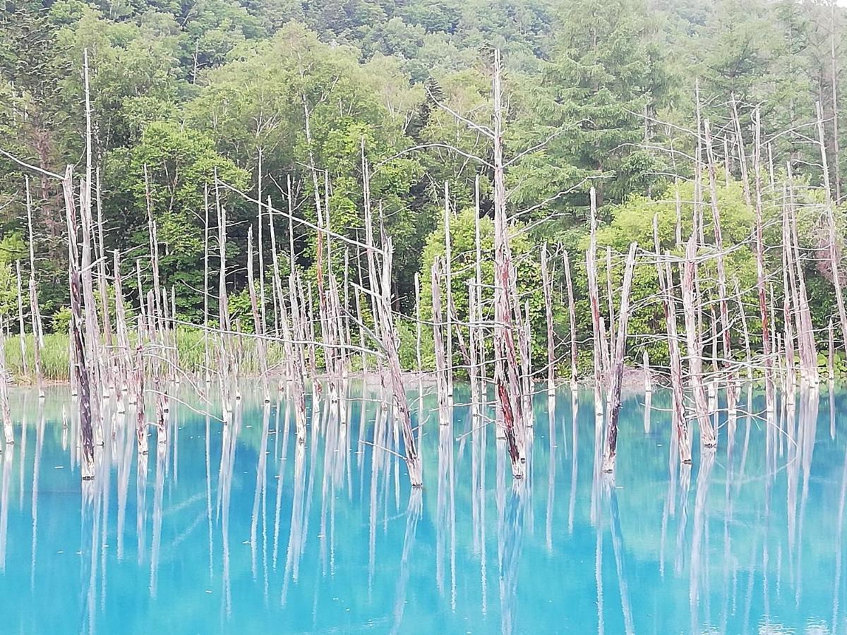 Hotel Hanafuji Inn NakaNakafurano Zewnętrze zdjęcie